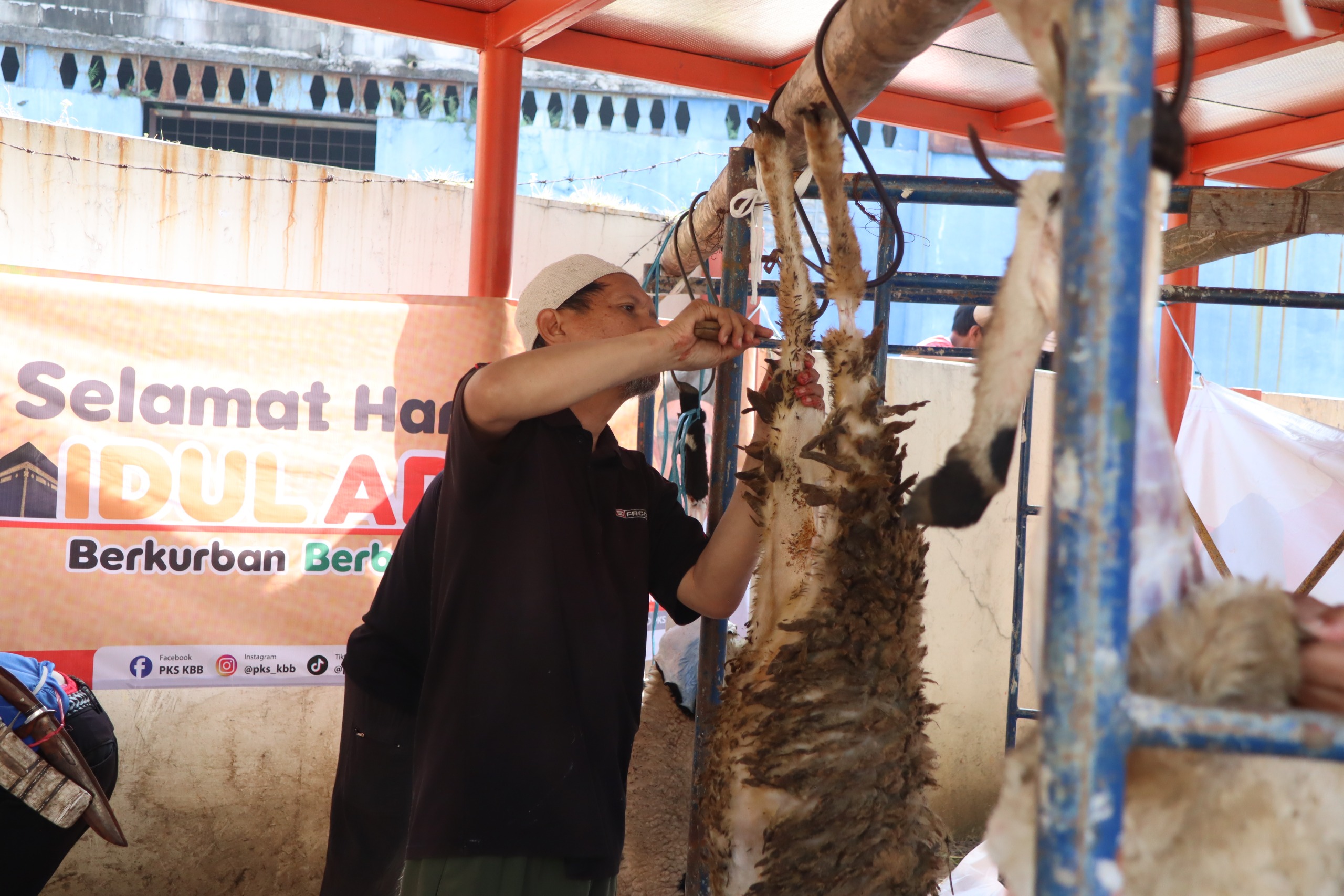 PKS Bandung Barat Tebar Semangat Berbagi, Salurkan 21 Sapi dan 38 Domba pada Idul Adha 1447 H